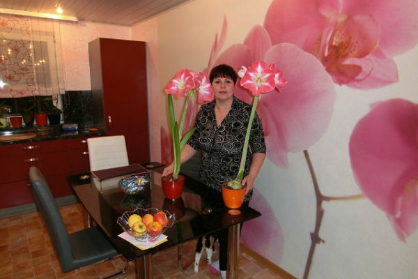 любителям орхидей