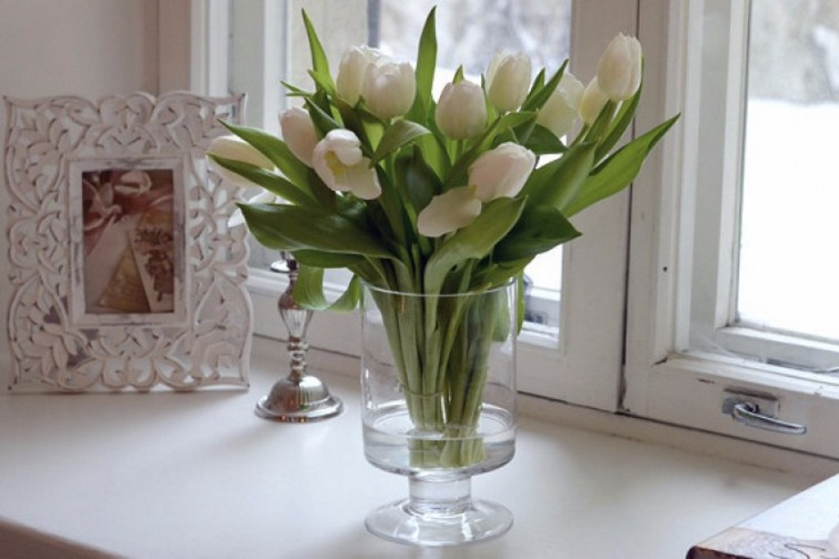 В каких условиях должны стоять тюльпаны в вазе с водой