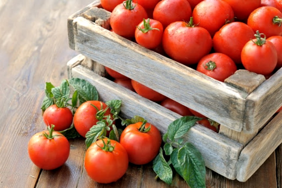 Как ухаживать за томатами после высадки рассады в открытый грунт